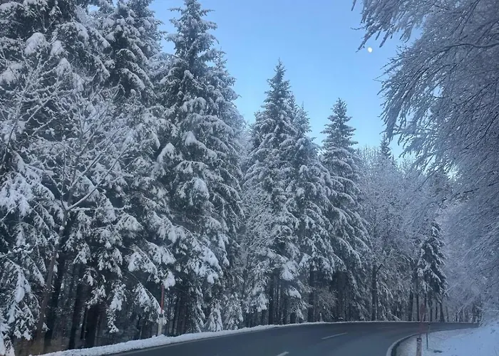 Urlaub Mit Bergblick - In * Bad Bleiberg
